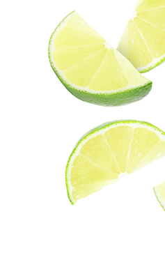Bebidas